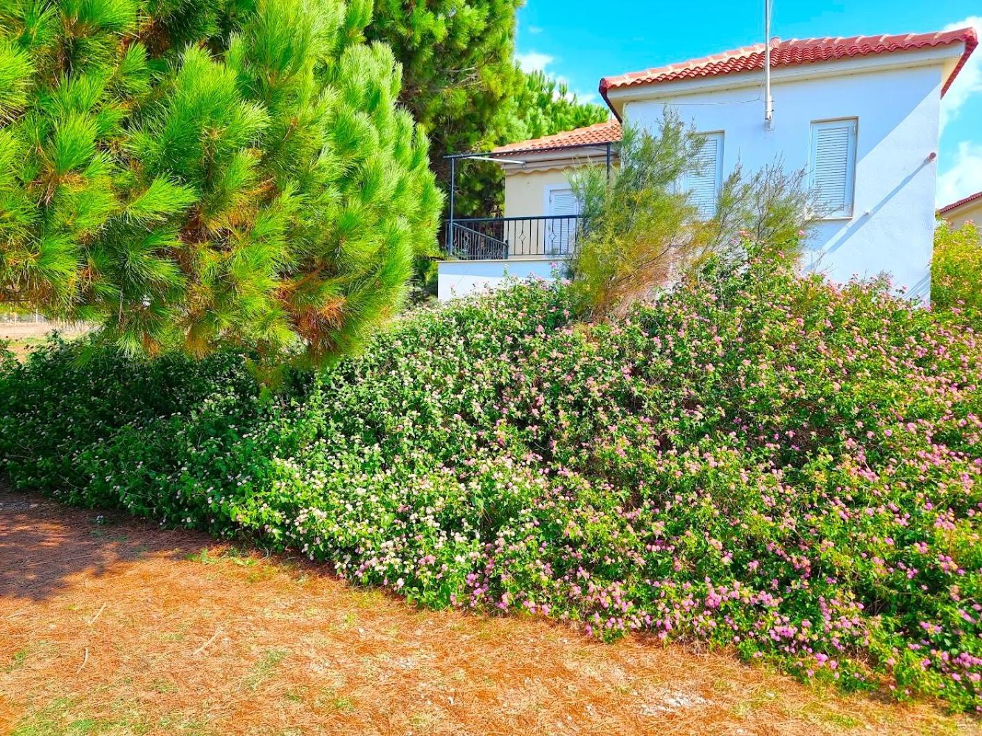 Romanos Beach Villas エクステリア 写真